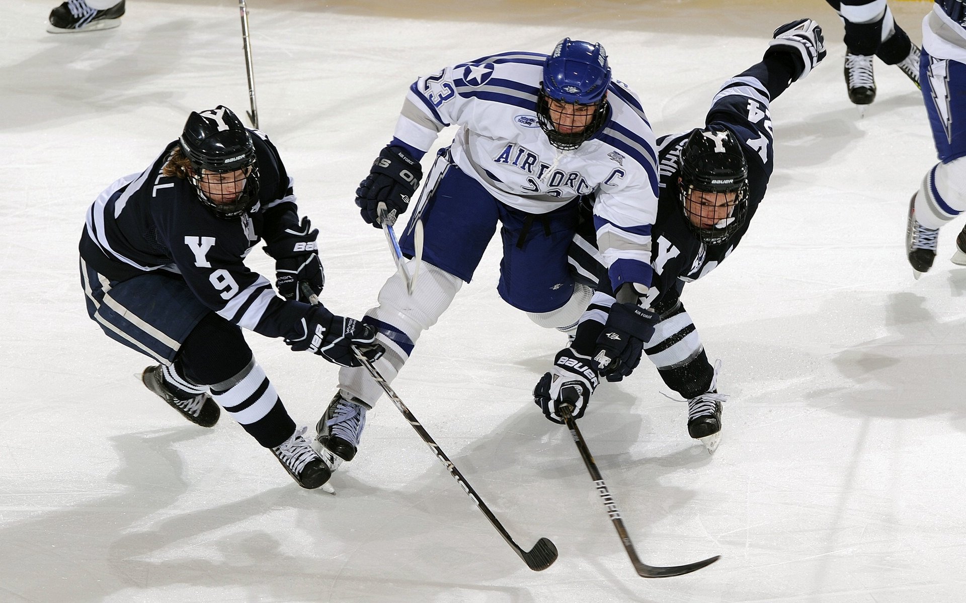 跳水赛场中立代表队A完成高难度动作，跳水队选拔赛