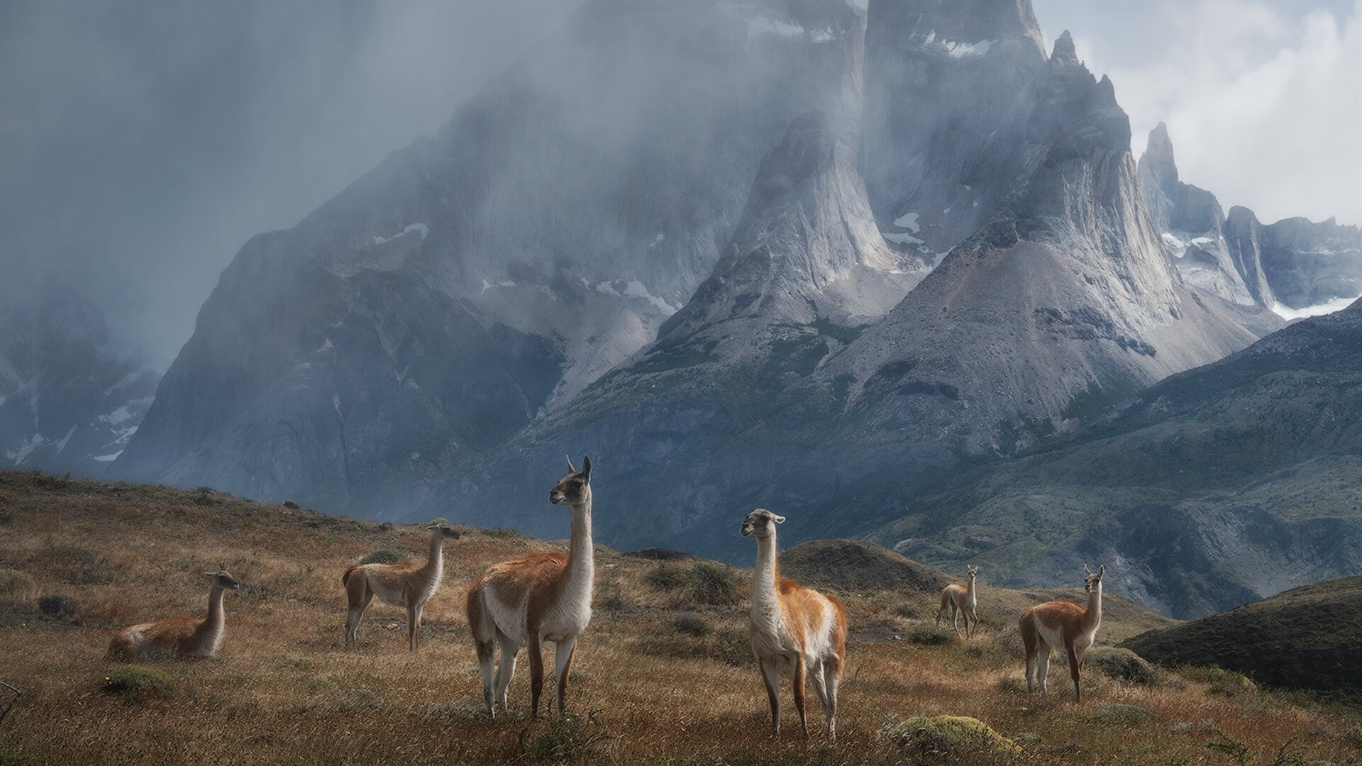 史上最“火爆”的快攻：速度、激情以及致命一击，快攻有哪几种
